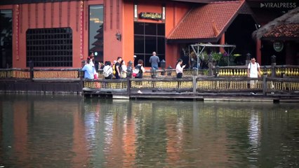 Planes Land Above The Heads Of Diners At This Thai Restaurant