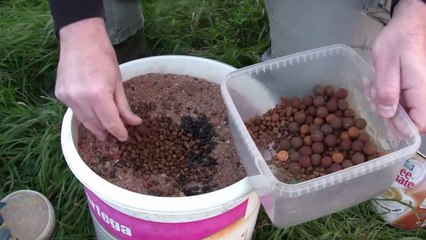 A Spot (Lot!) of Prebaiting - 2017 Warwickshire Avon Campaign Update - 14,16,18/10/17 (Video 43)