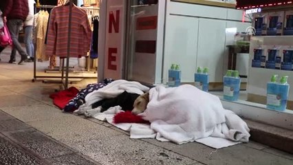 Hayvanlar Üşümesin Diye Mağazasının Önüne Battaniye Serdi