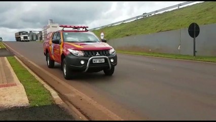 Bombeiros realizam resgate de animal na marginal da BR-277