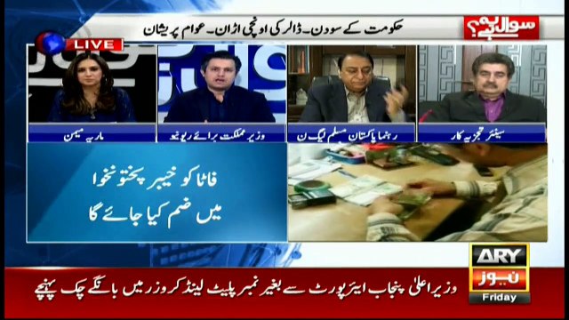 Hammad Azhar says imports have slashed, rise of exports devalued rupee