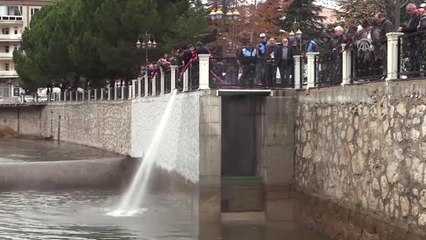 Yeşilırmak'taki Toplu Balık Ölümleri