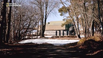 Le Megastrutture Di Hitler - 1x01 Il Muro Atlantico...!!!