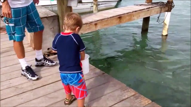 Cet enfant veut nourrir des poissons mais attendez la suite... fou