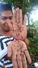 Nouvelle méthode anti moustique... Efficace