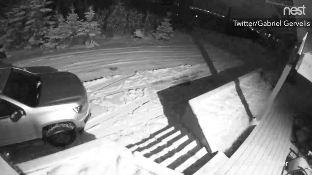 Power flashes seen in night sky as damaging earthquake hits Alaska