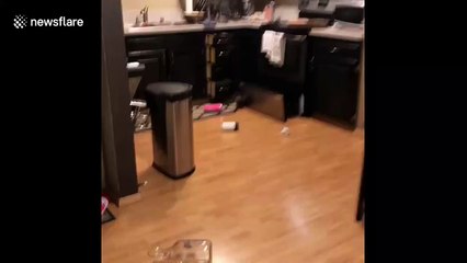 Devastation in home as 7.0 earthquake rocks Alaska