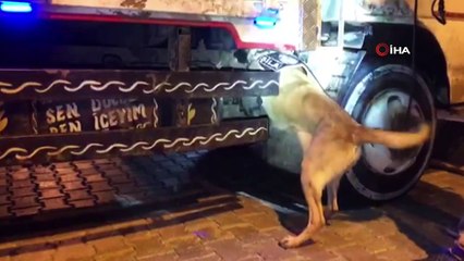 Van'da 39 kilo 960 gram eroin ele geçirildi