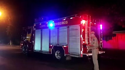 Bombeiros capturam porco espinho na Neva