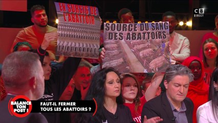 Faut-il des caméras dans les abattoirs ? Solveig Halloin, militante animaliste intervient violemment
