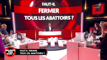 Faut-il fermer tous les abattoirs ? Débat très houleux pour Éric Naulleau