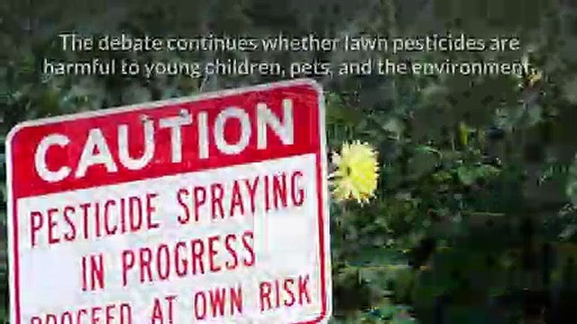 Why Organic Lawn Care Services Are Better For Your Lawn