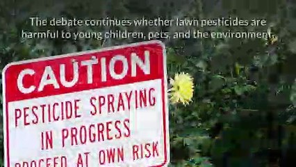 Why Organic Lawn Care Services Are Better For Your Lawn