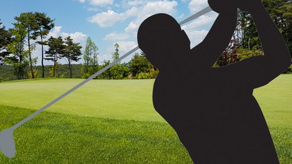 靑 직원, 친목 도모한다고 근무시간에 '단체 골프' / YTN