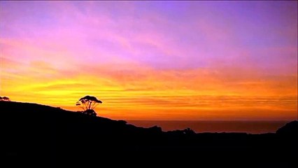 Amazing Nature video - Sunset