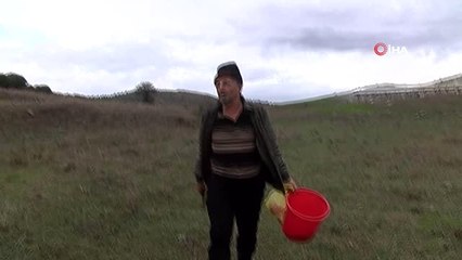 Yağan Yağmur Mantar Toplayıcılarını Sevindirdi