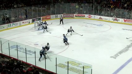 Steelheads take home the win 4-1 over the Jacksonville Icemen in their first ever meeting in franchise history