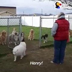 Когда бесит быть последним