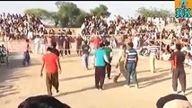 Shooting Volleyball.Akhtar Khan Baloch & Ch Naveed Warraich Vs Haji Naveed Ahmad Bhutta