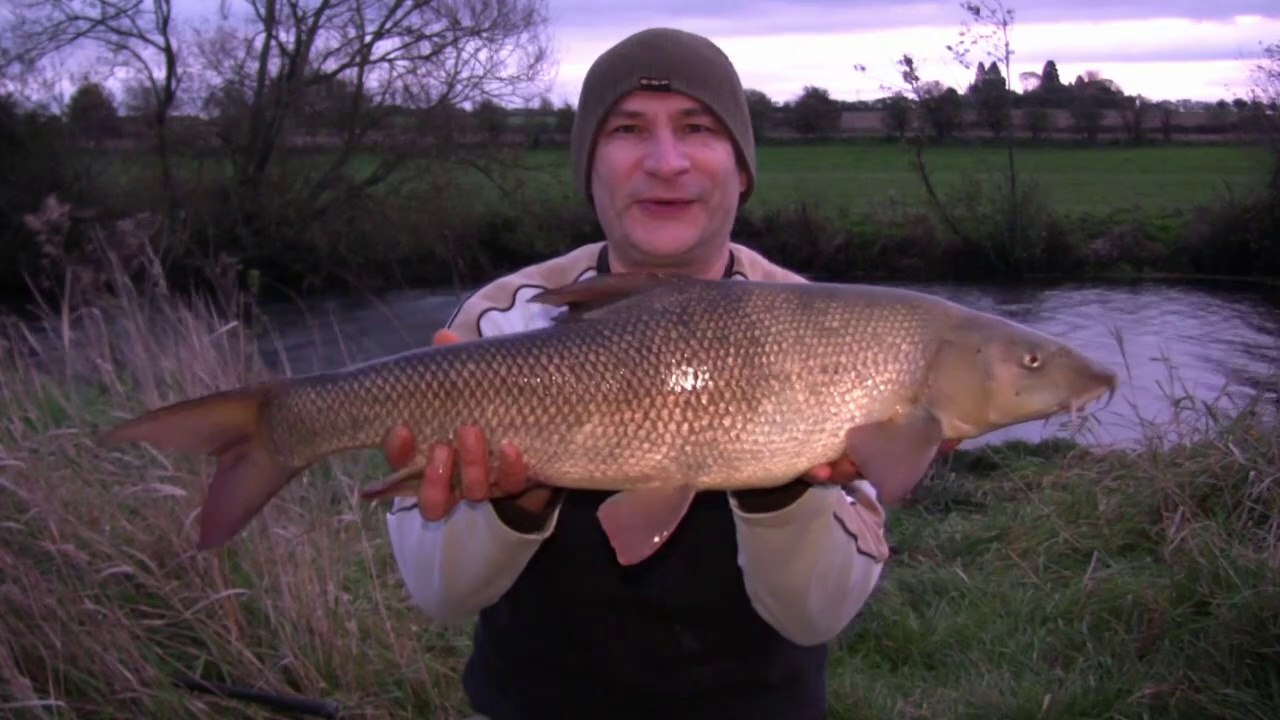 **Barbel PB 13lb** Above the Weir - Warwickshire Avon River Campaign 2017 - 28/10/17 (Video 47)