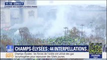 Gilets jaunes à Paris: 44 personnes ont été interpellées