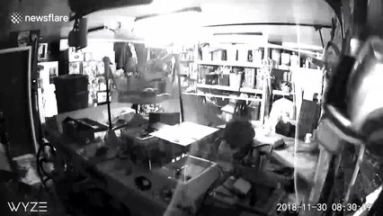 Garage security camera shows moment Alaska quake struck