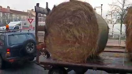 Gilets jaunes à Lunéville en voiture autour des ronds-points