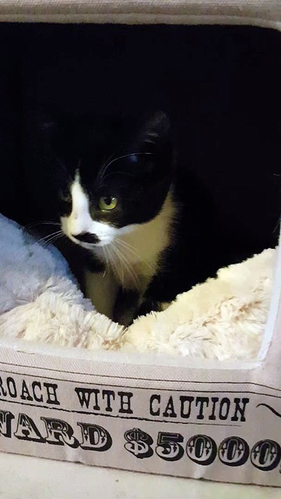 Suma 3 mois à adopter !