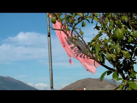“Gjurmë shqiptare”, kur nderohet një vrasës i shqiptarëve! - Top Channel Albania - News - Lajme
