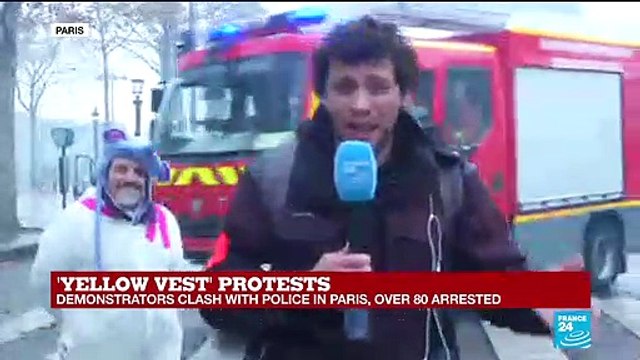 'Yellow vest' demonstrators clash with police in Paris, dozens arrested