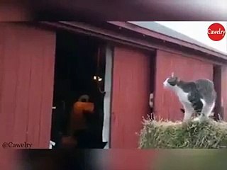 quand vous faites beaucoup de calculs..mais !