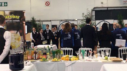 Olympiades des métiers : la fin des épreuves