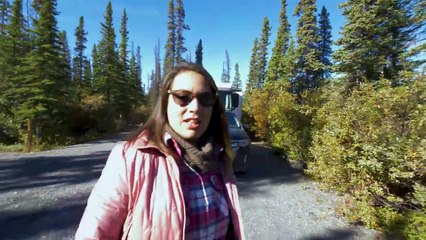 RV Alaska Series #29 | The Bears & Auroras Come Out To Play in  BC