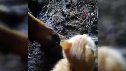 Trabzon'dan İç Isıtan Görüntüler