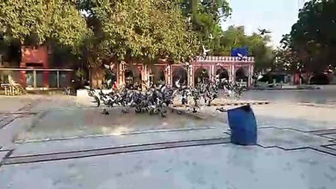 Slow motion and reverse effect video