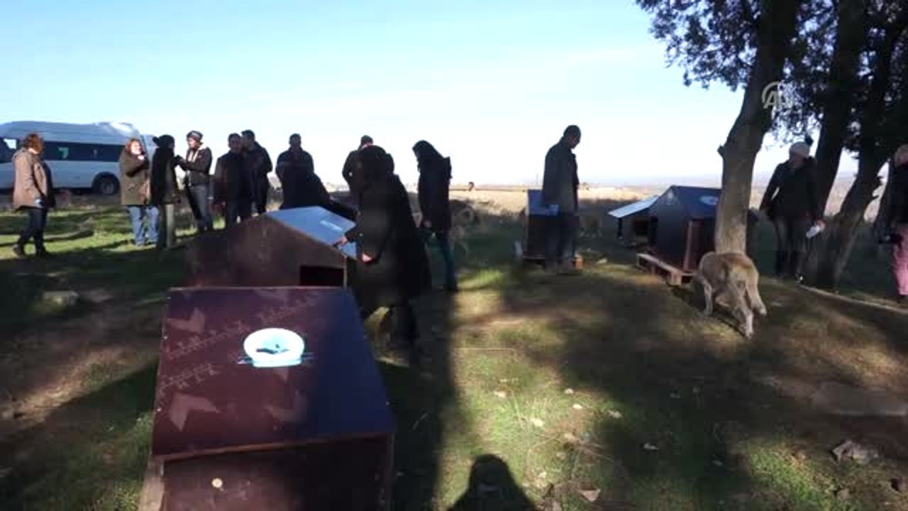 Sokaktaki Canlara Sıcak Yuva