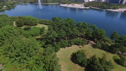 미세먼지 해법은 '도시 숲'...평균 40% 저감 / YTN