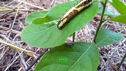 Profondeur et ouvrières et la quatrième minute