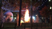 Vidéo - Marseille : un sapin de Noël en feu derrière le Vieux-Port