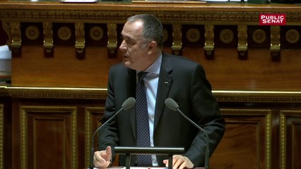 Mission Agriculture : "J'ai besoin de vous " assure Didier Guillaume aux sénateurs