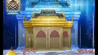 Zikr e Hazrat Imam-e-Hussain  By Allama Peerzada Muhammad Raza SaQib Mustafai sb