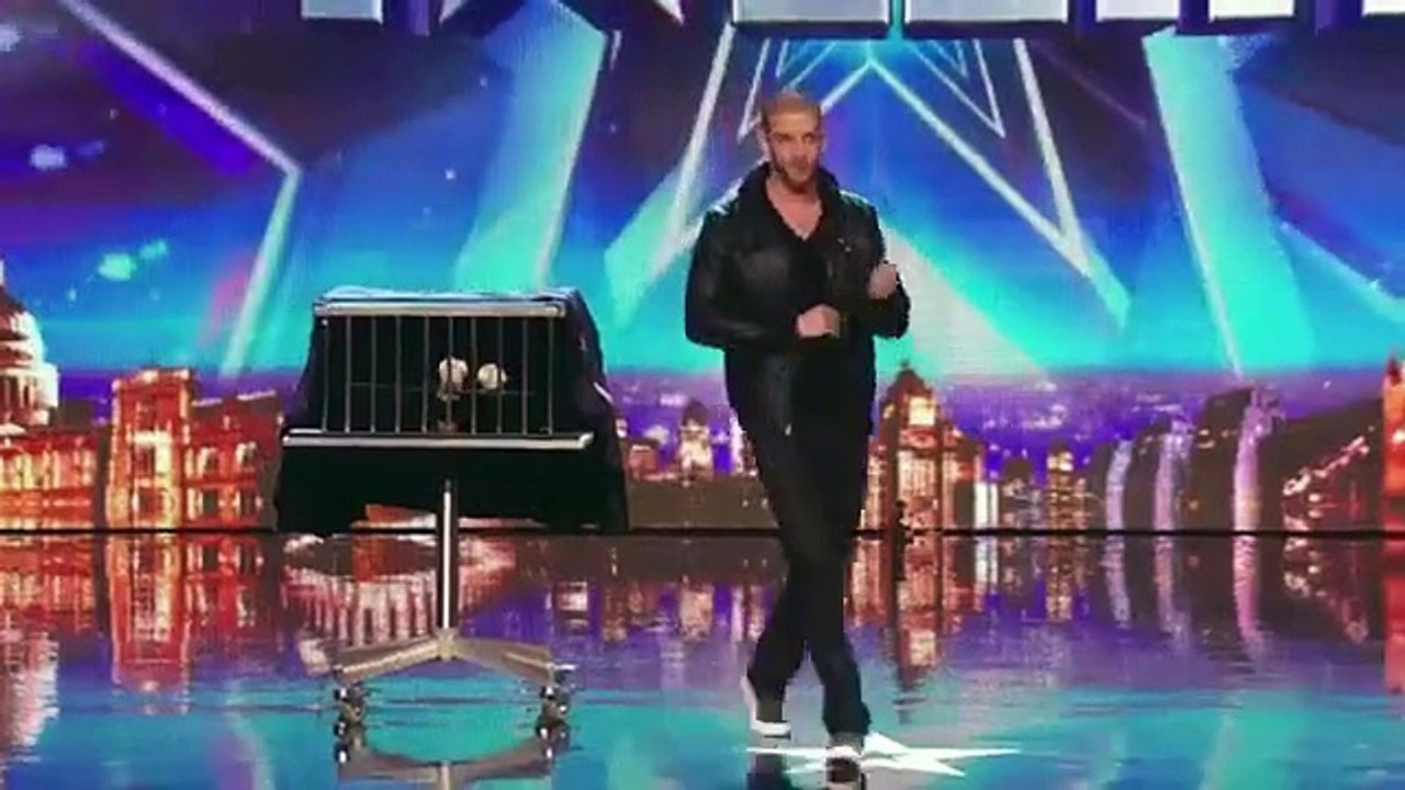 New Magic Video