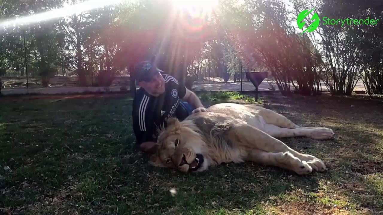 Son lion de compagnie veut lui faire un gros calin...