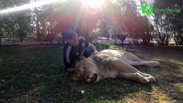 Son lion de compagnie veut lui faire un gros calin...