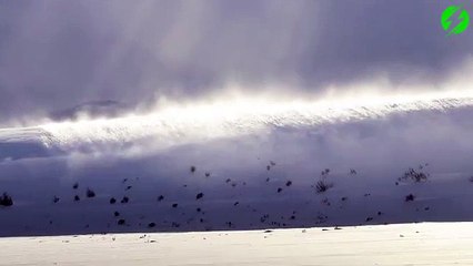 Une impressionnante vague de neige poussée par le vent