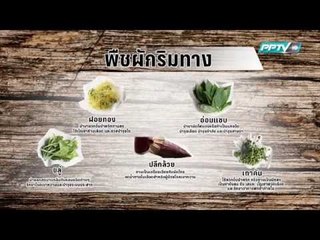 เที่ยงทันข่าว_กรุงเทพฯเมืองทานได้