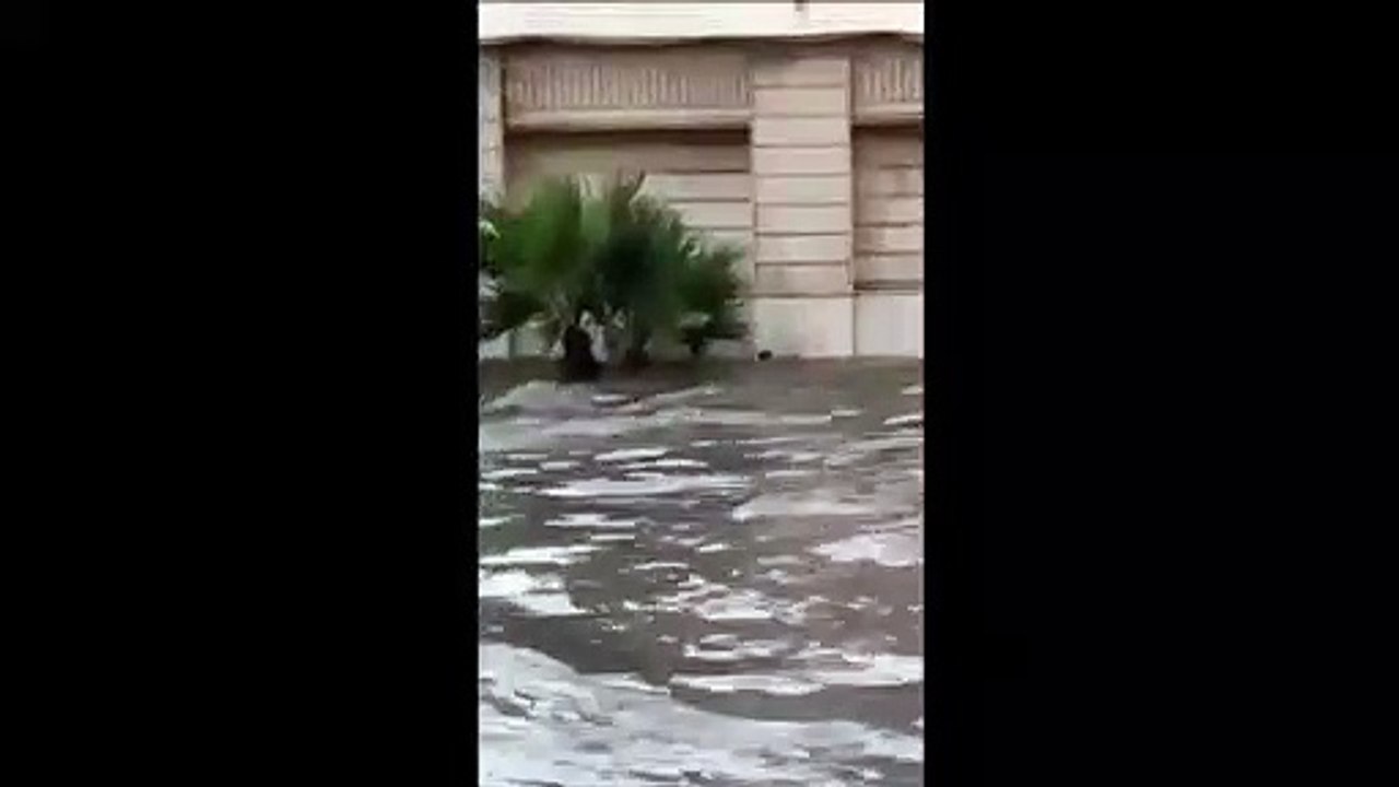 survie au cours d'une inondation monstre