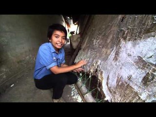 มหัศจรรย์อาเซียน : หนังเงาโรงละครมีชีวิต 2