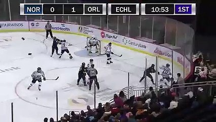ECHL Norfolk Admirals 0 at Orlando Solar Bears 3