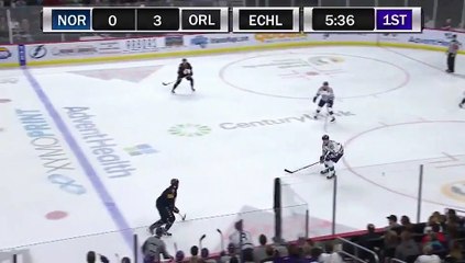 ECHL Norfolk Admirals 1 at Orlando Solar Bears 4